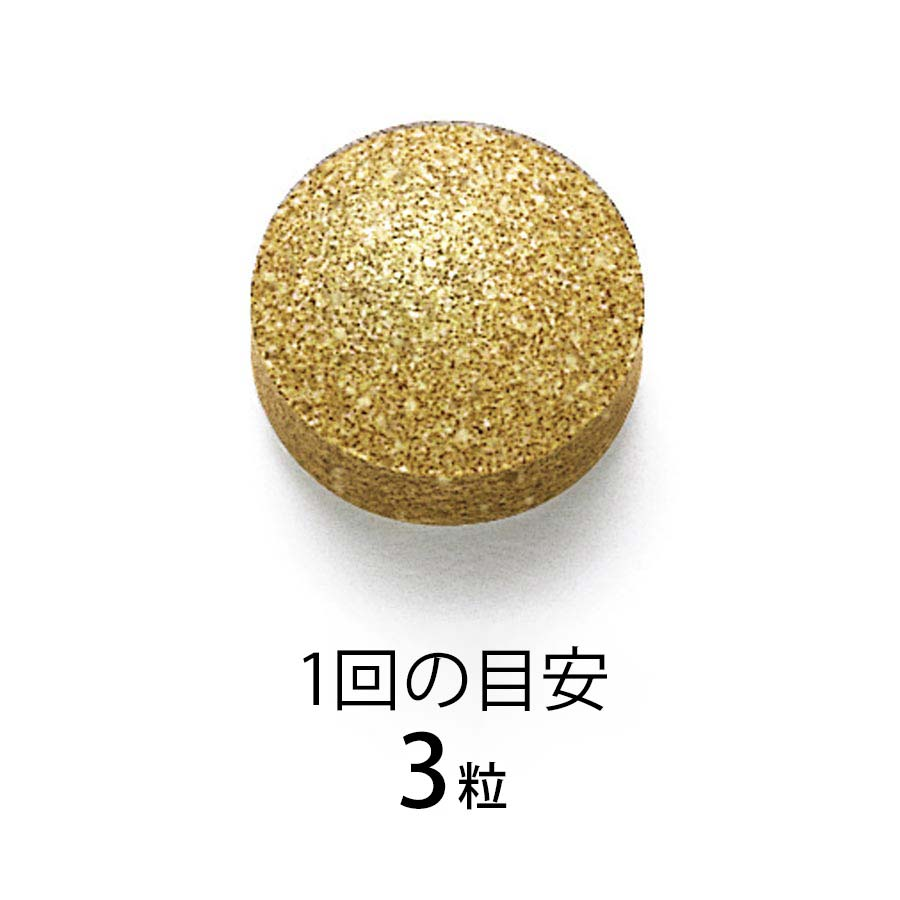 Calorie Limit 4
