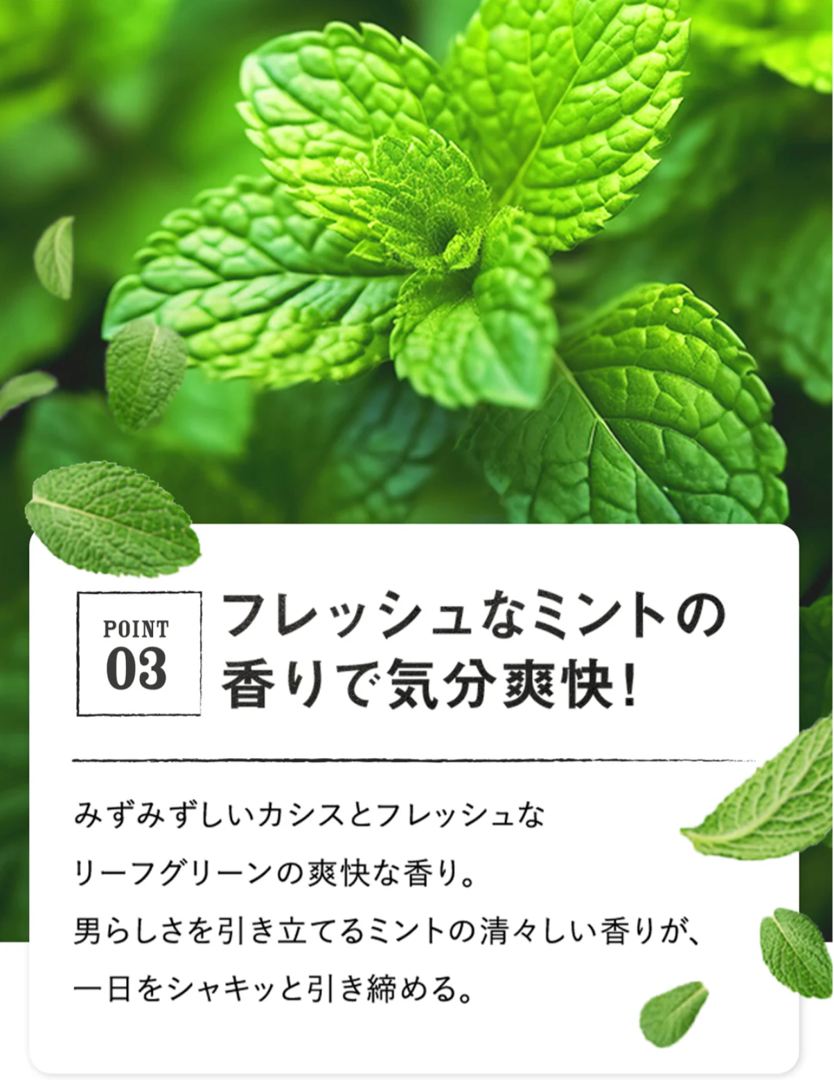 MARO 3D Volume Up Shampoo EX көлөм берүүчү шампуну 3