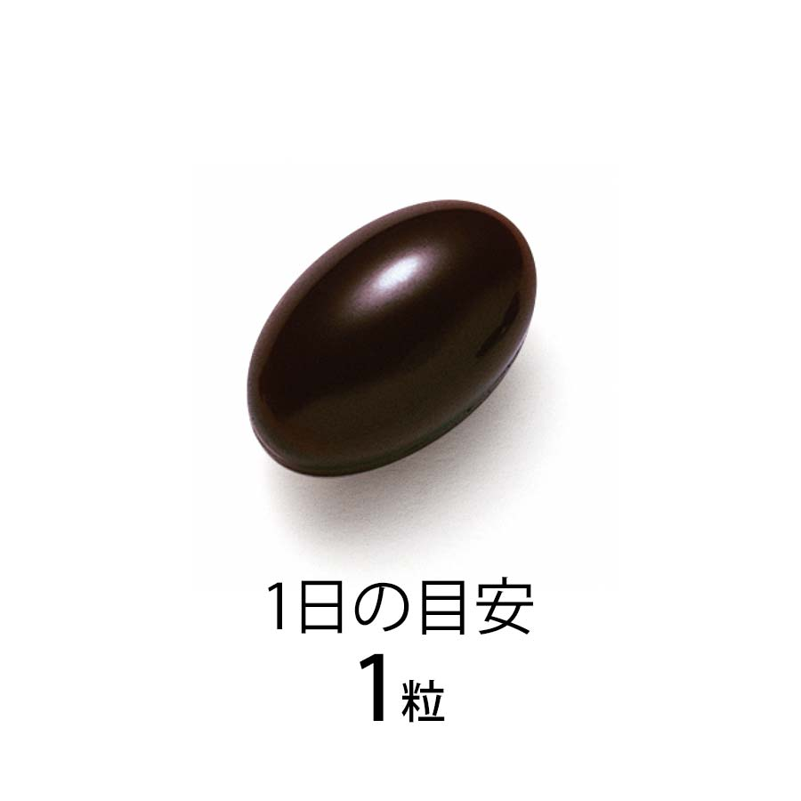 Энкин 2