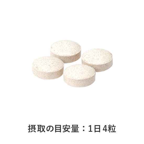 ヒザテクト 2
