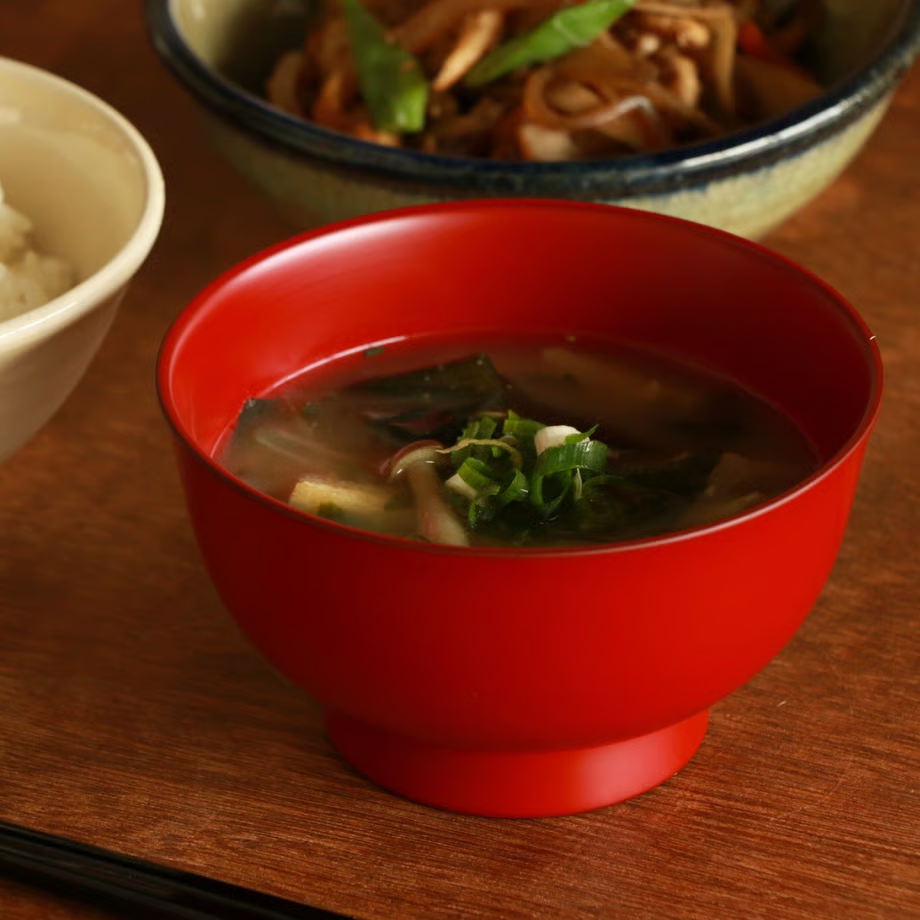 Shitsurindo Echizen Kataurushi Asakura Bowl 2