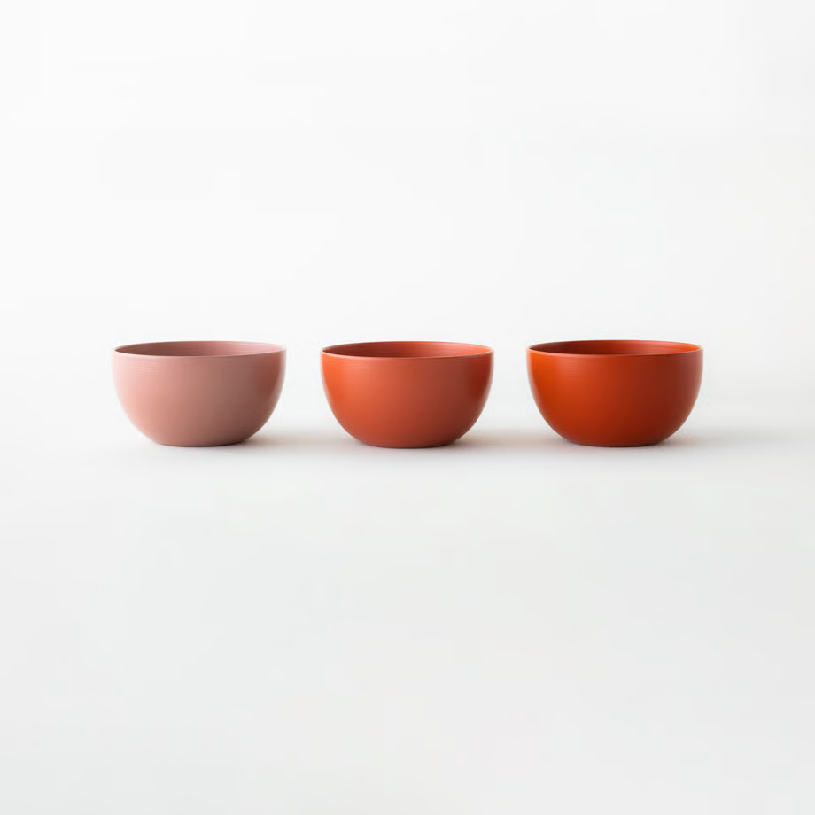 Shitsurindo Echizen Hard Lacquer Hakeme Bowl S R-03 2