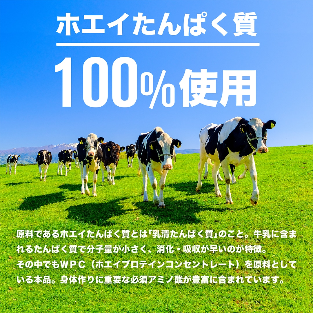 プロテインホエイ100 スターターセット 3