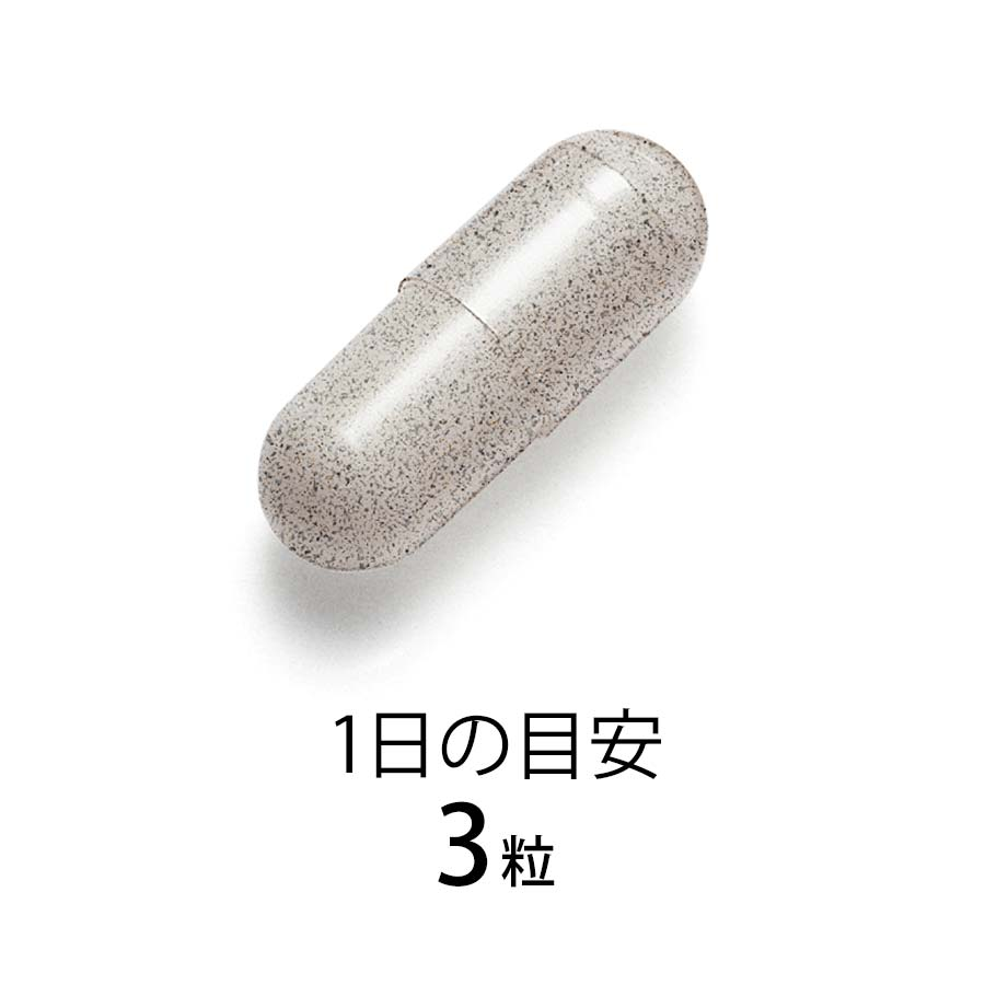 Naishi Support 2