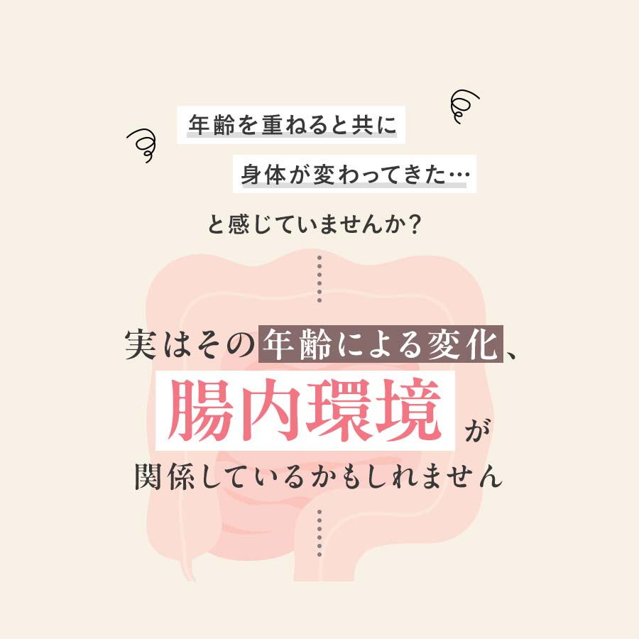 Naishi Support 3