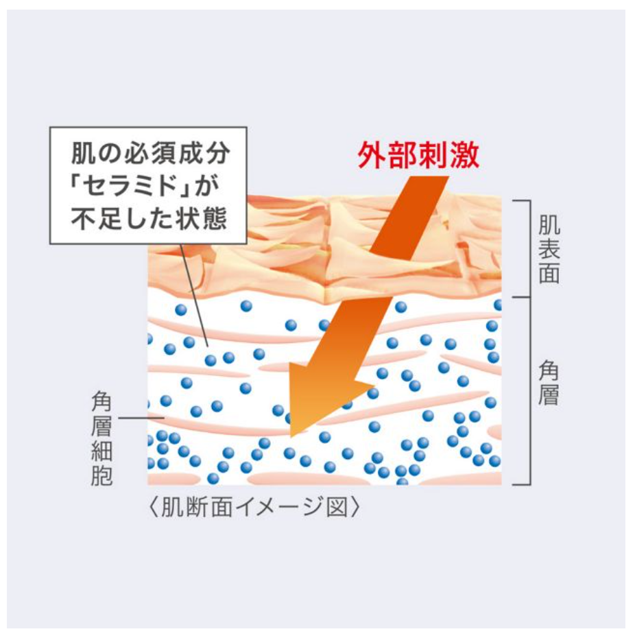 キュレル 潤浸保湿 フェイスクリーム 4