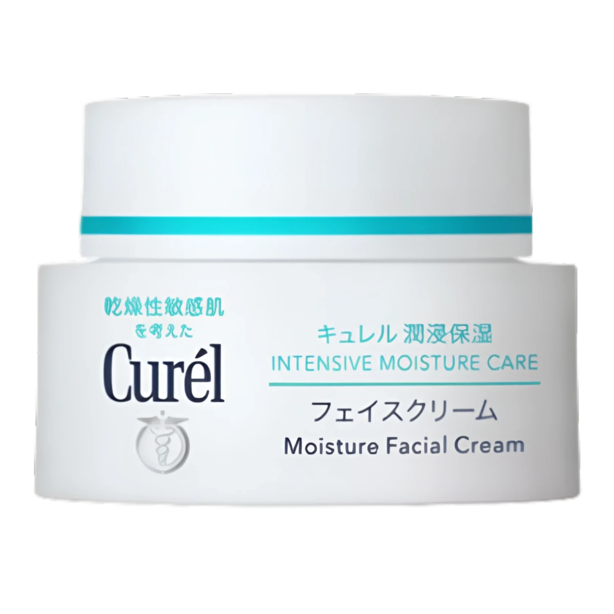 Curel Intensive Moisture Face Cream
